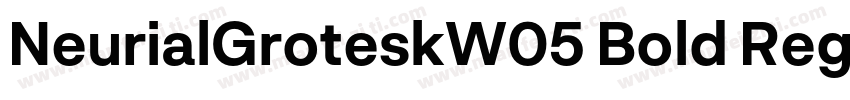 NeurialGroteskW05 Bold Regular字体转换